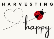 Harvesting Happy